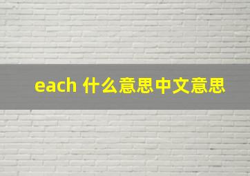 each 什么意思中文意思